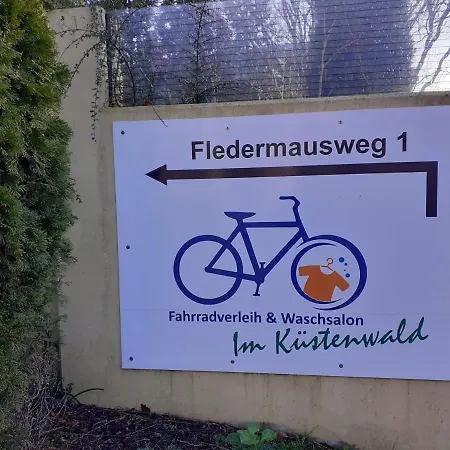 Moewengruss An Der Ostsee