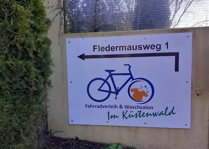 Moewengruss An Der Ostsee